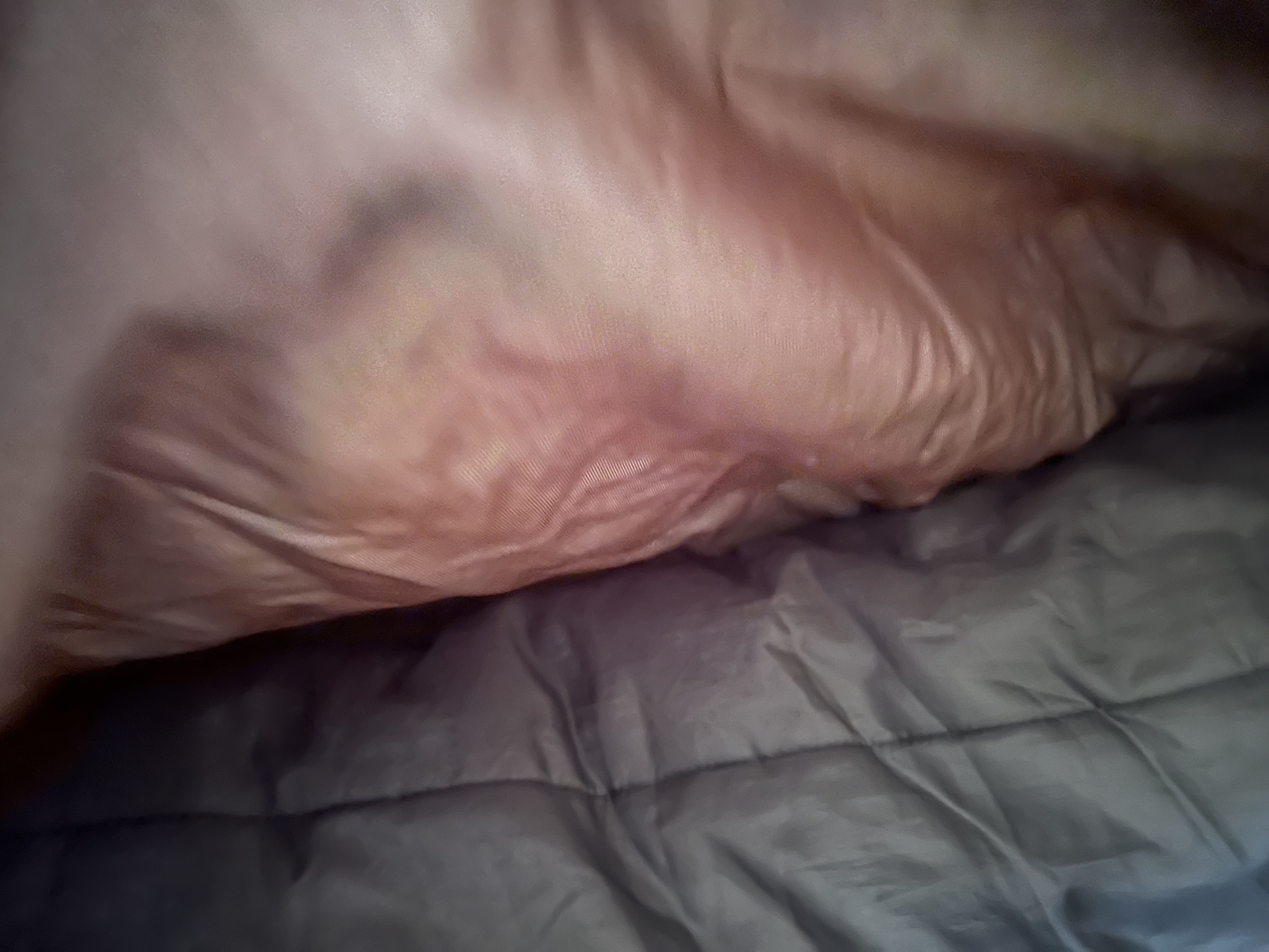 IMG_8573.jpeg