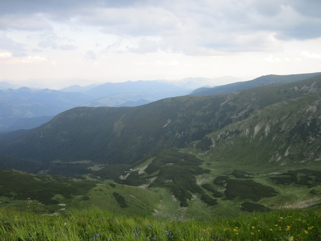 IMG_8579.JPG