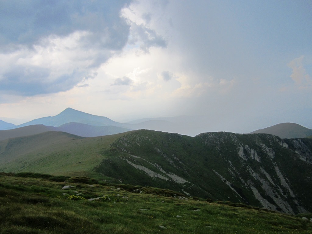 IMG_8583.JPG