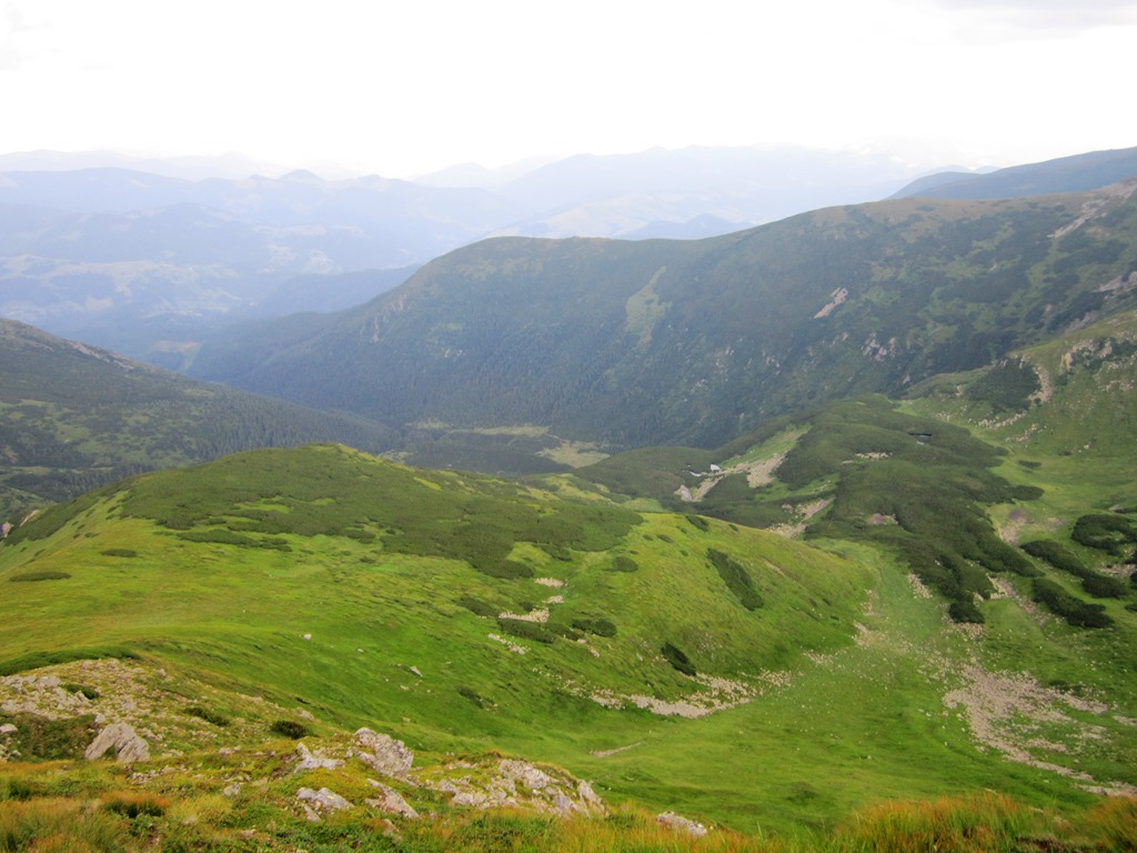 IMG_8586.JPG