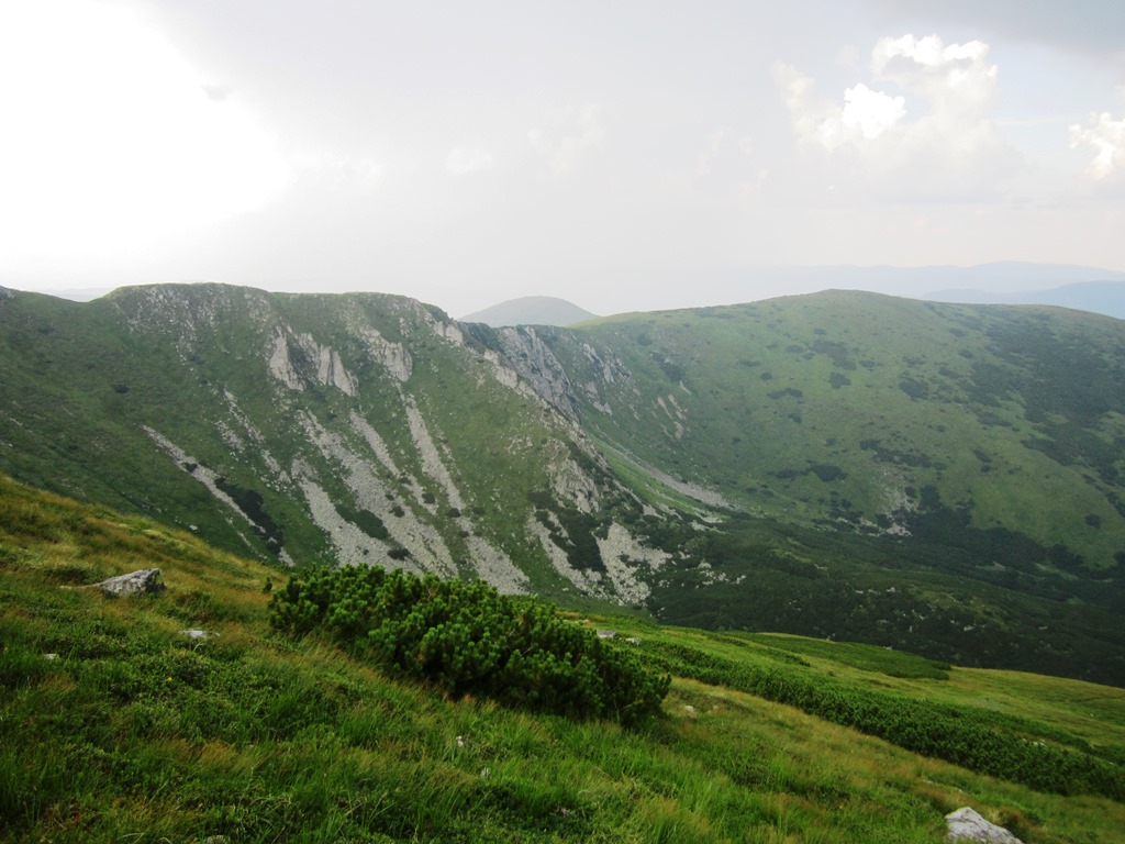 IMG_8592.JPG
