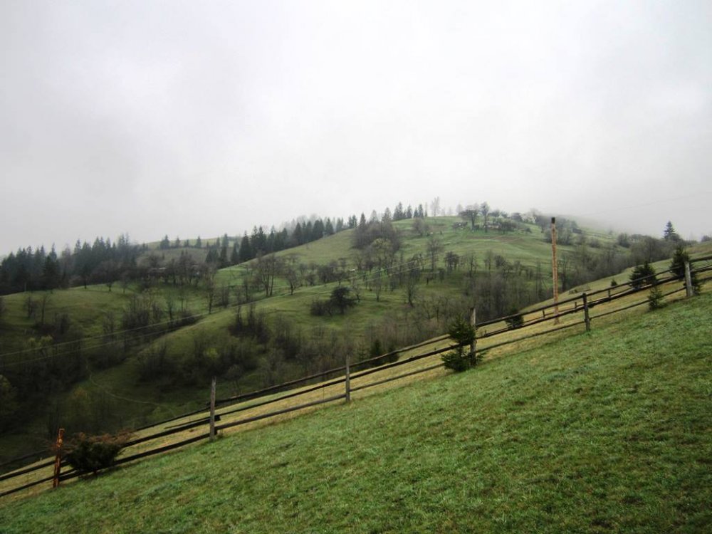 IMG_9000.JPG