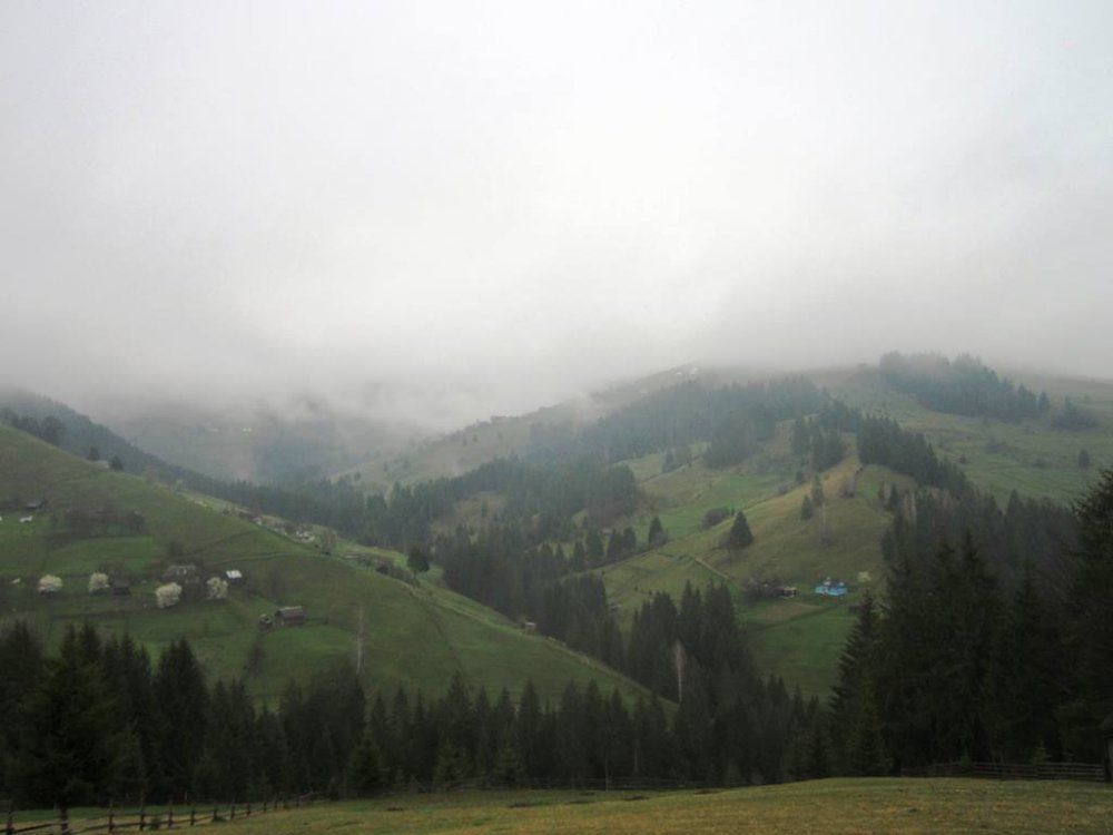 IMG_9034.JPG