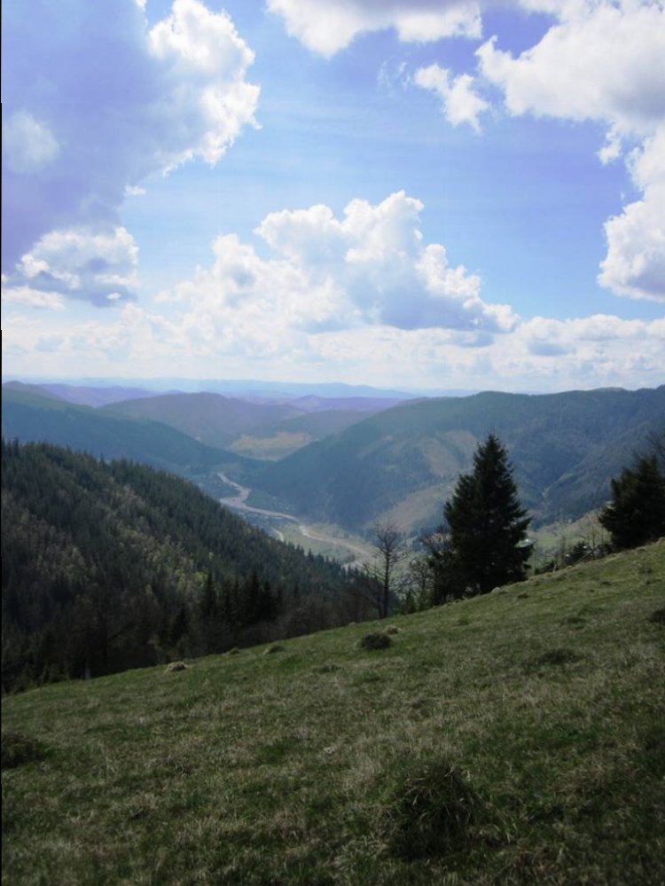 IMG_9206.JPG