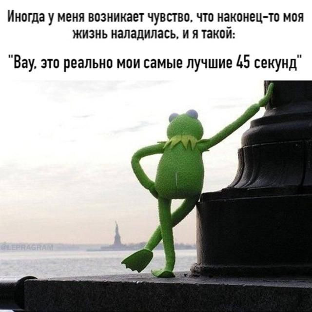 IMG_9267.png
