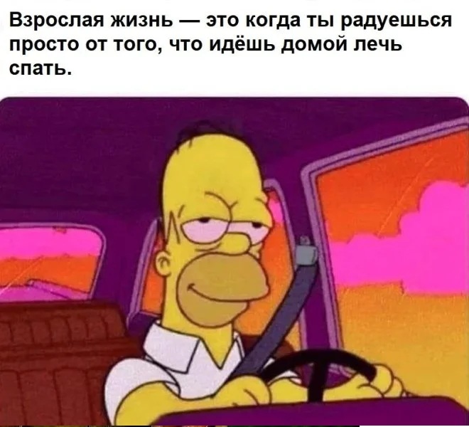 IMG_9279.jpeg