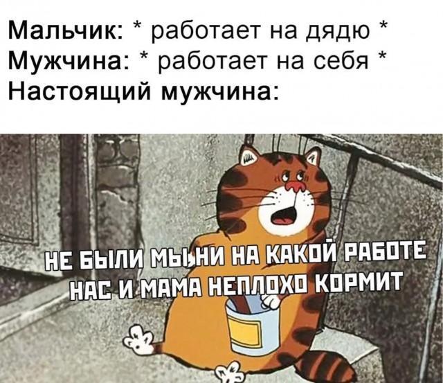 IMG_9284.jpeg