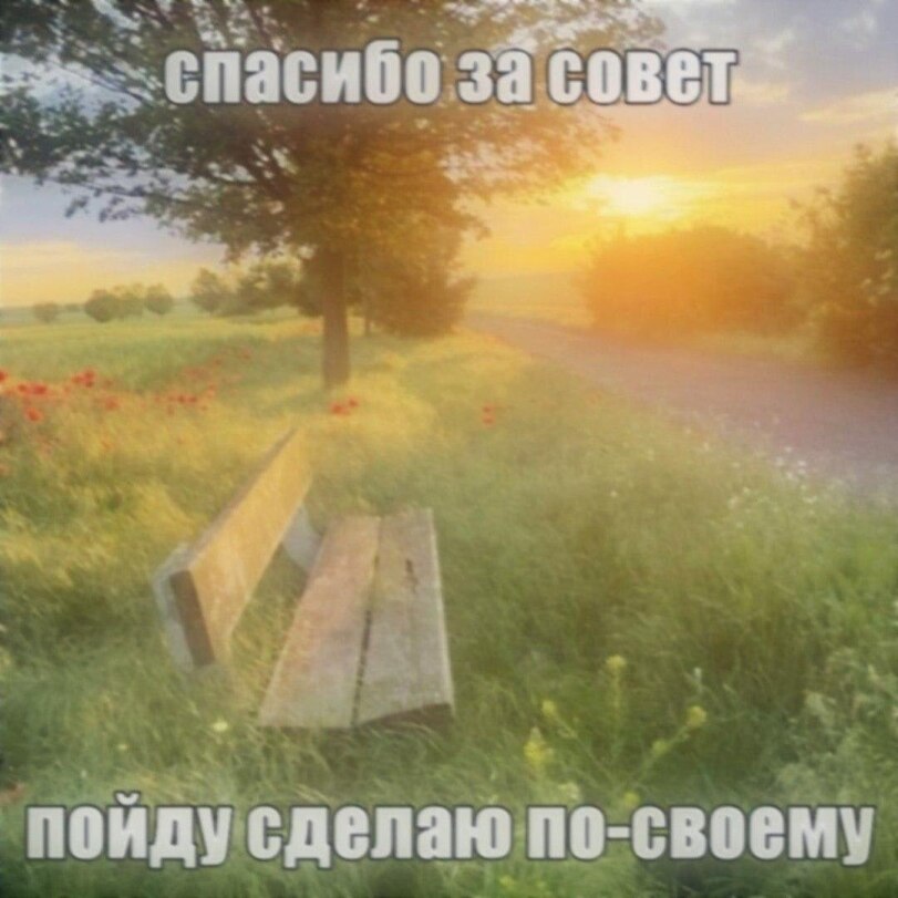 IMG_9285.jpeg