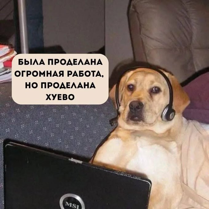 IMG_9286.jpeg
