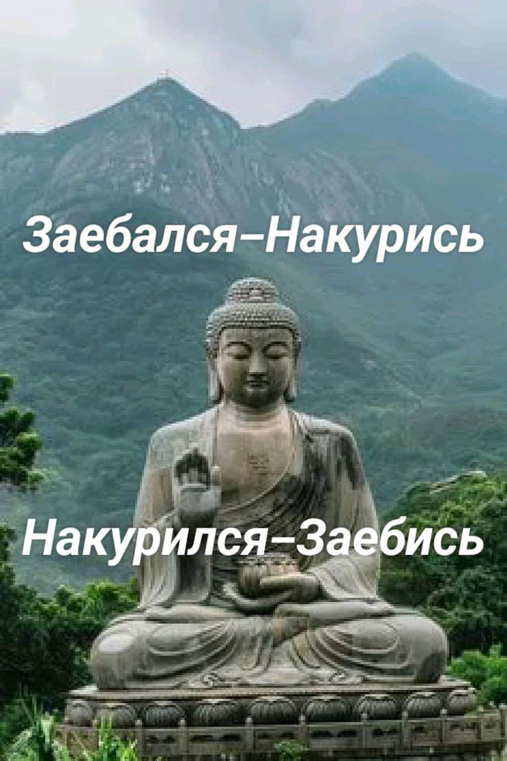 IMG_9289.png