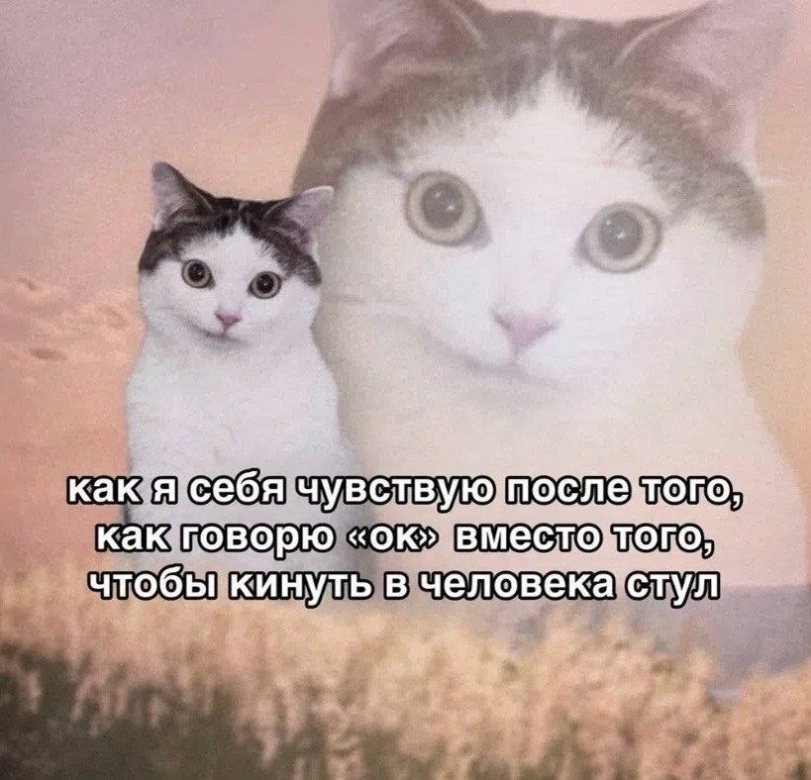 IMG_9366.jpeg
