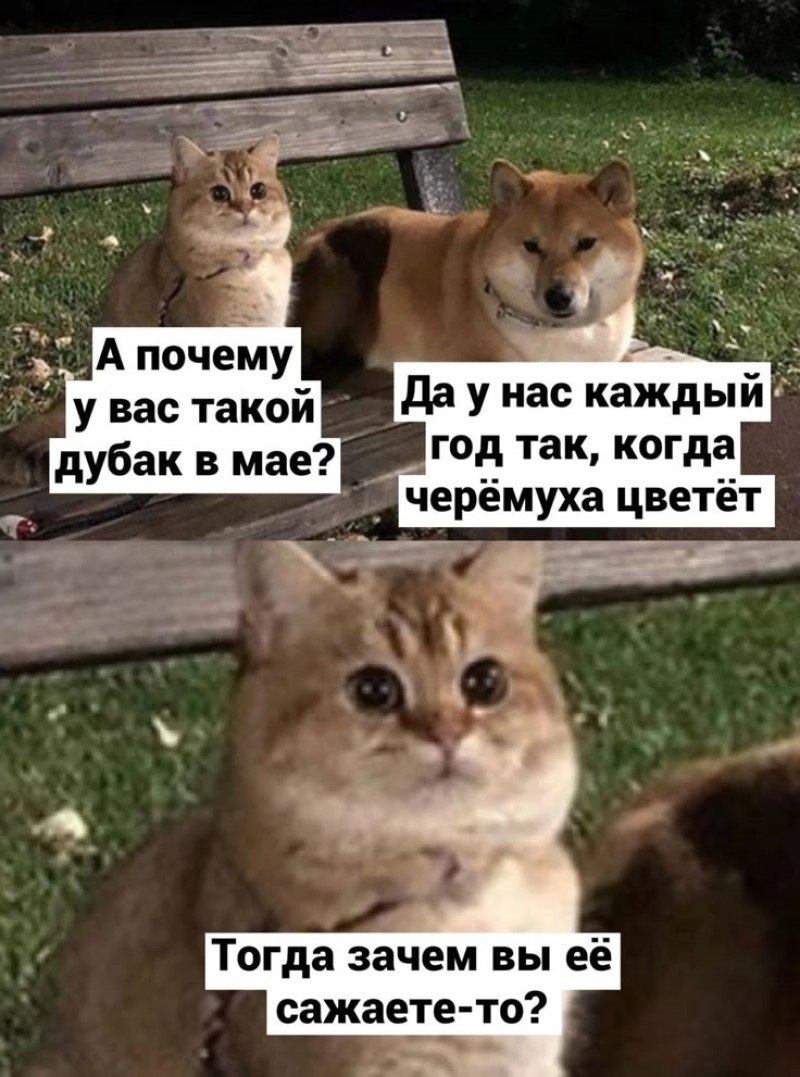 IMG_9389.png