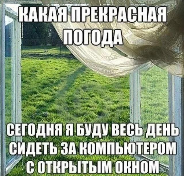 IMG_9391.jpeg