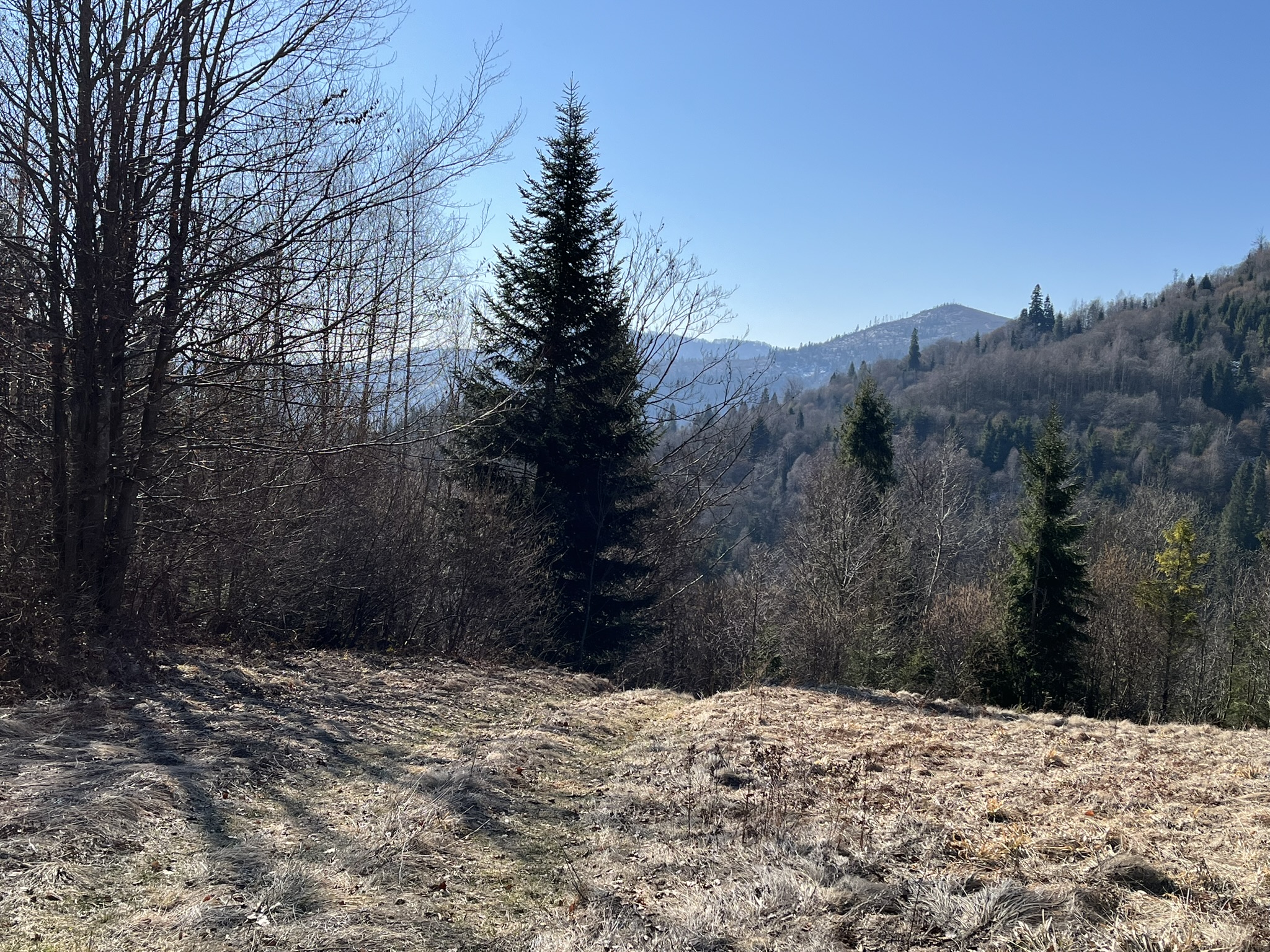 IMG_9447.JPEG
