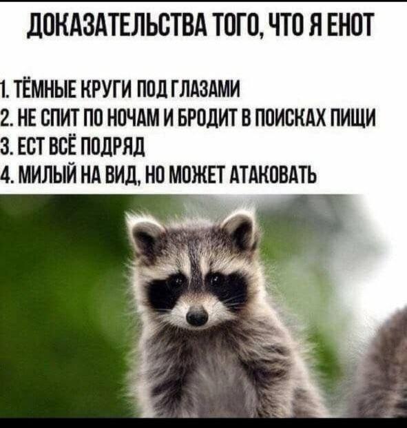 IMG_9483.jpeg