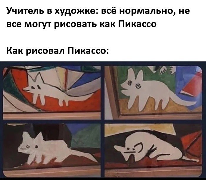 IMG_9484.jpeg