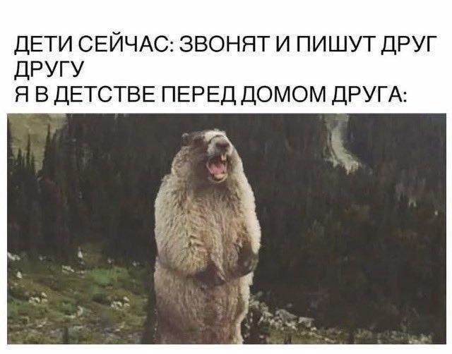 IMG_9486.jpeg