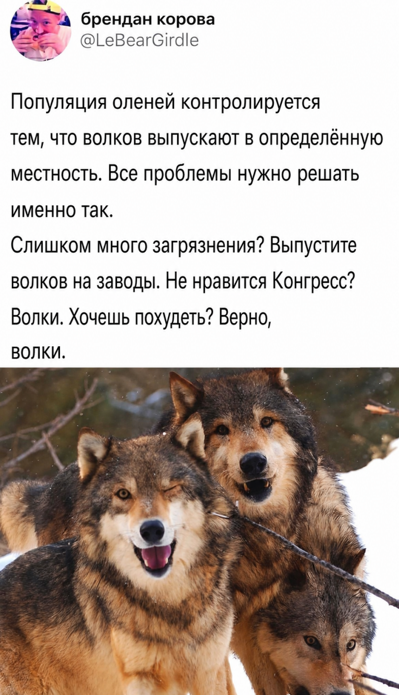 IMG_9490.png
