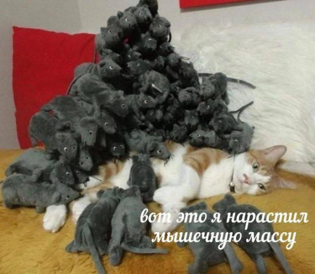 IMG_9498.png