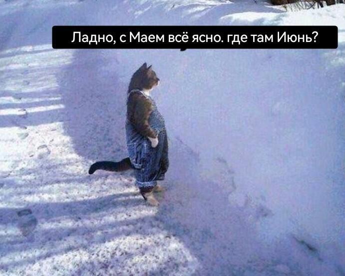 IMG_9505.jpeg