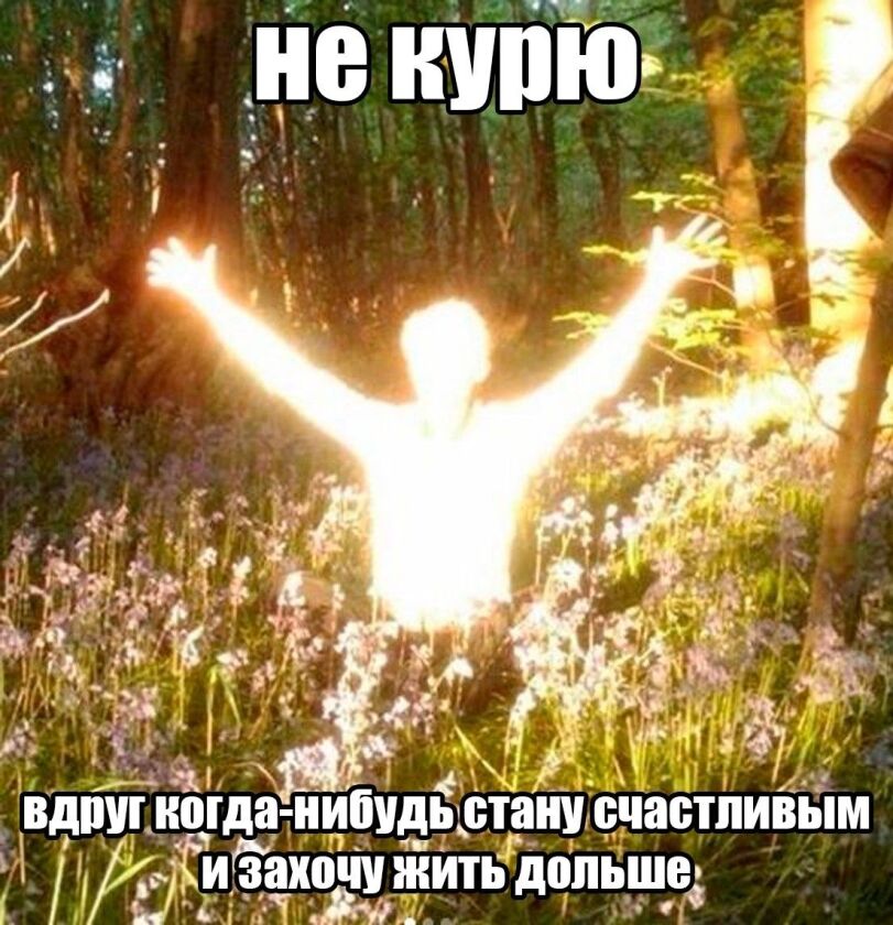 IMG_9509.jpeg