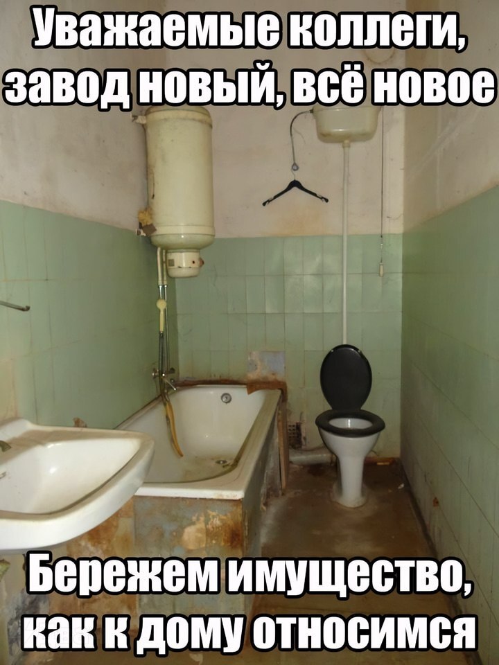 IMG_9518.jpeg