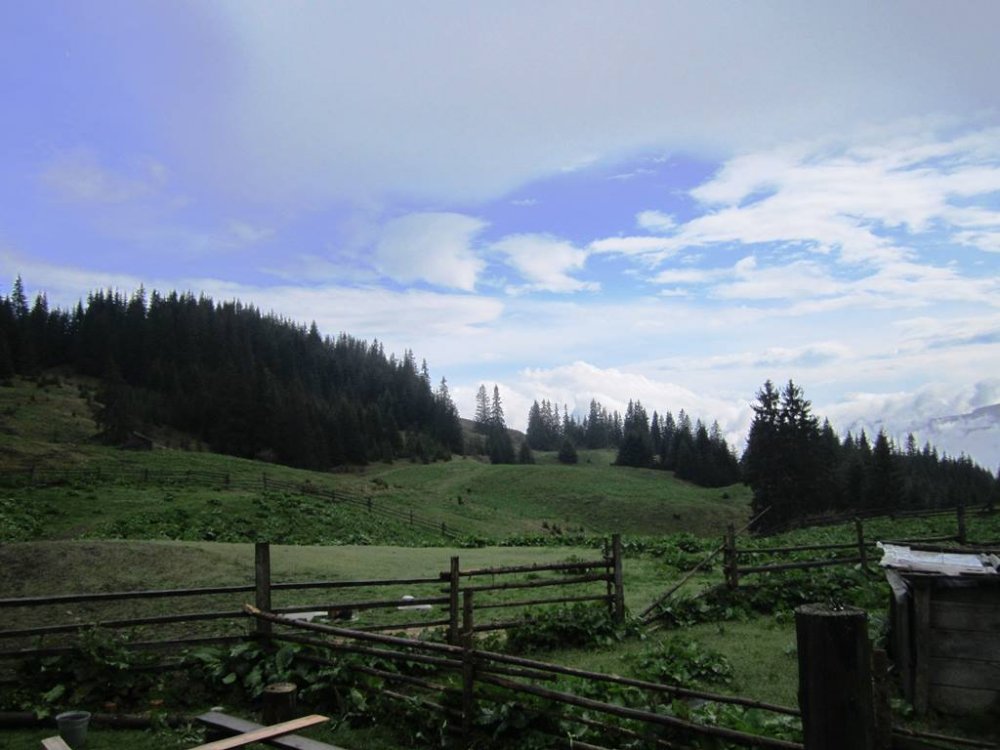 IMG_9560.JPG