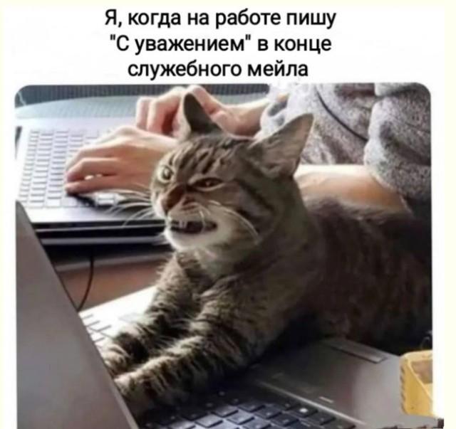 IMG_9564.jpeg