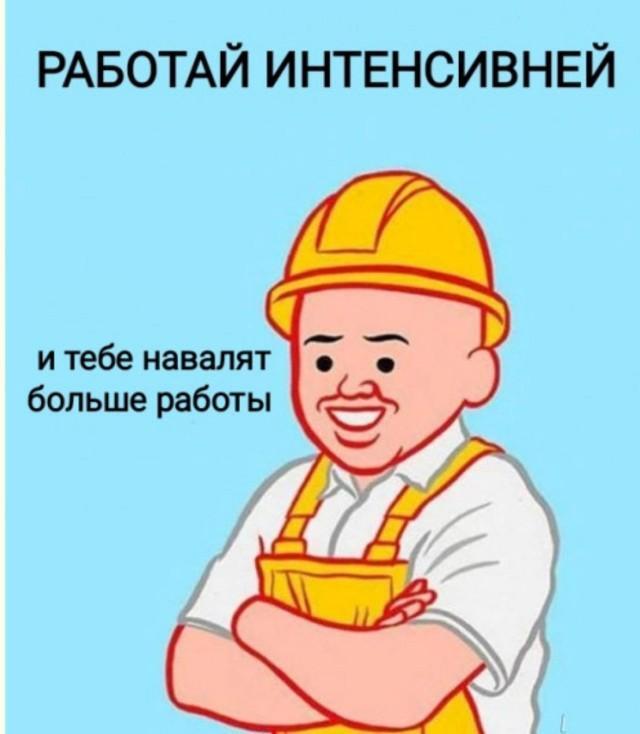 IMG_9565.jpeg