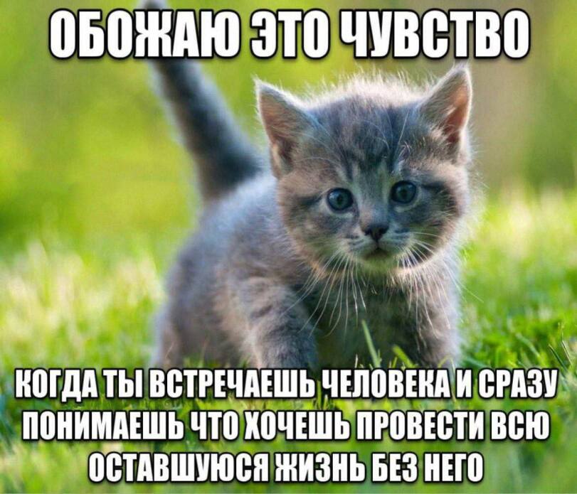 IMG_9567.jpeg