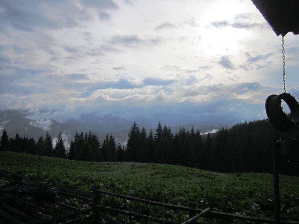 IMG_9570.JPG