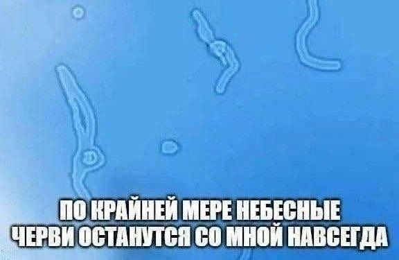 IMG_9575.jpeg
