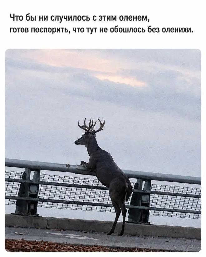 IMG_9624.jpeg