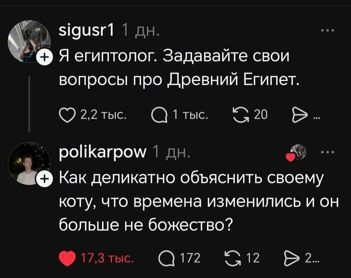 IMG_9652.jpeg