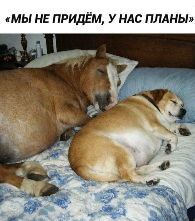 IMG_9653.jpeg