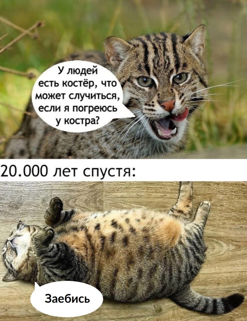 IMG_9665.jpeg