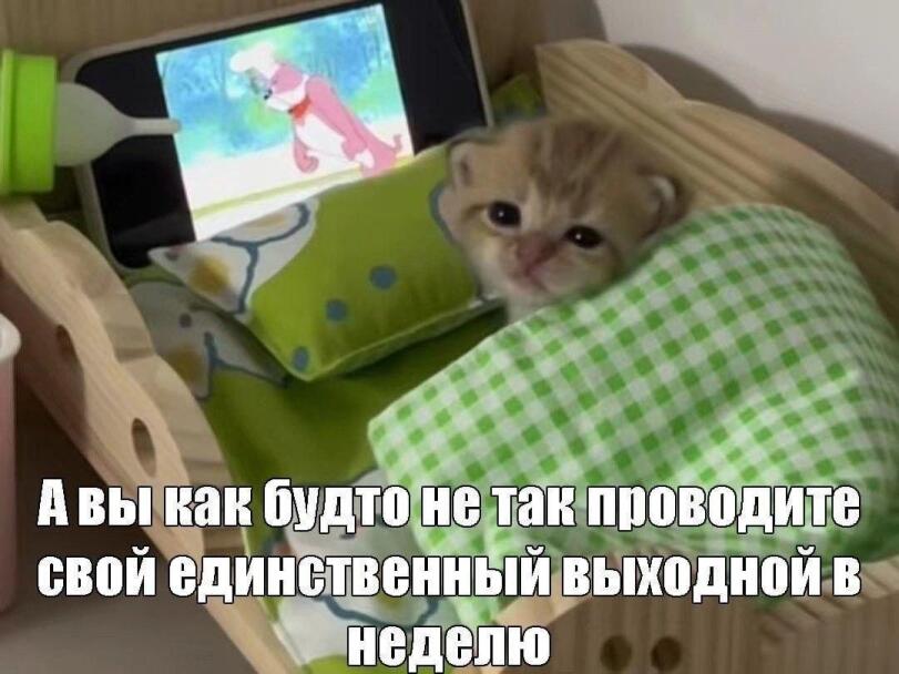IMG_9668.jpeg