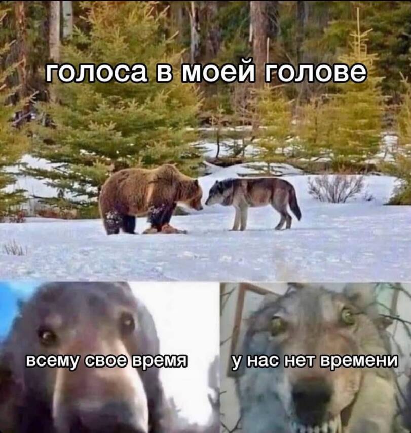 IMG_9671.jpeg