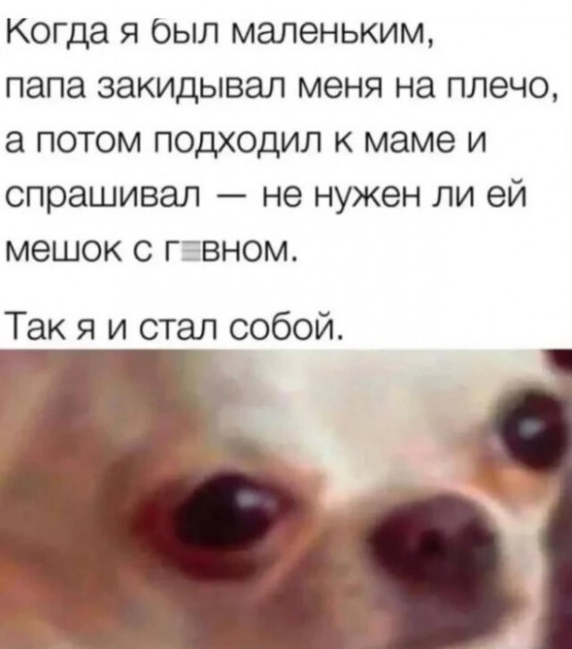 IMG_9675.jpeg