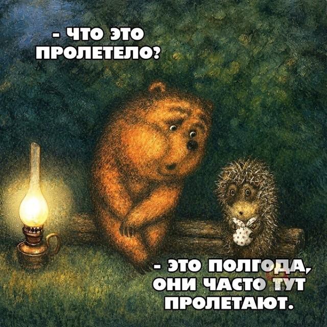 IMG_9677.jpeg