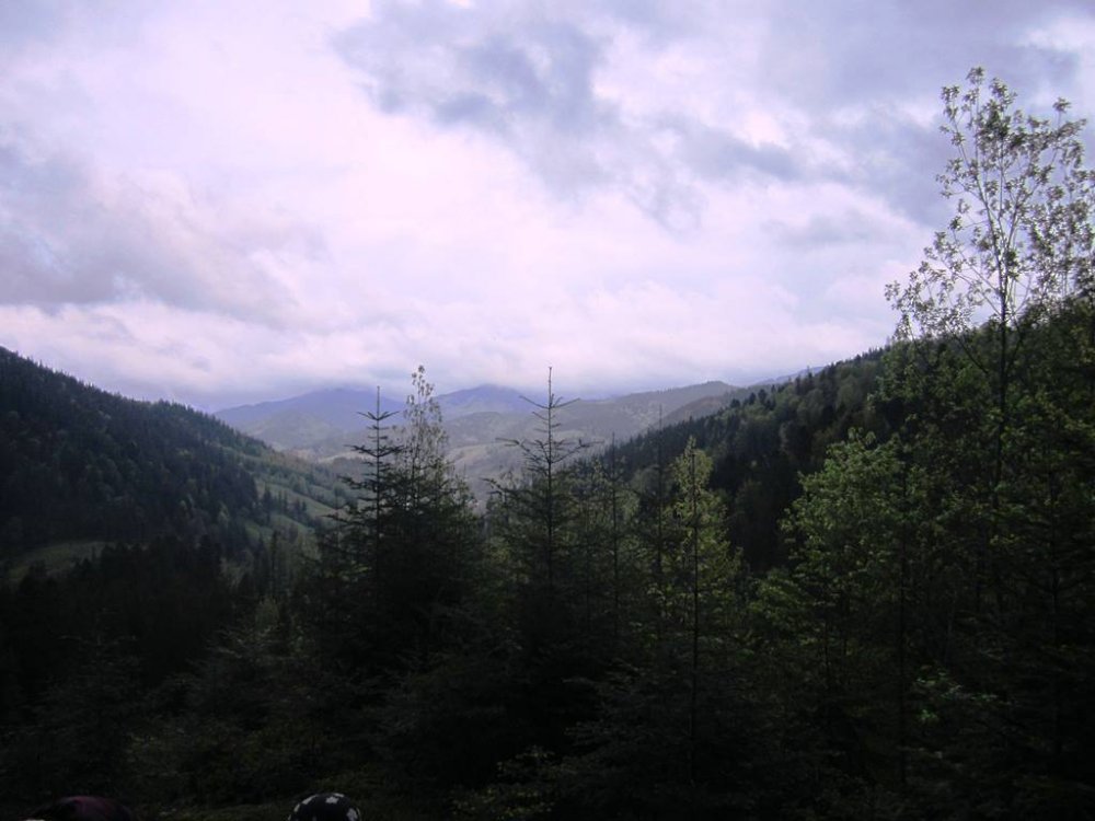 IMG_9696.JPG