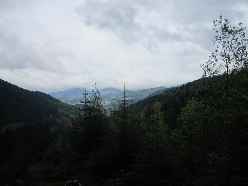 IMG_9696.JPG