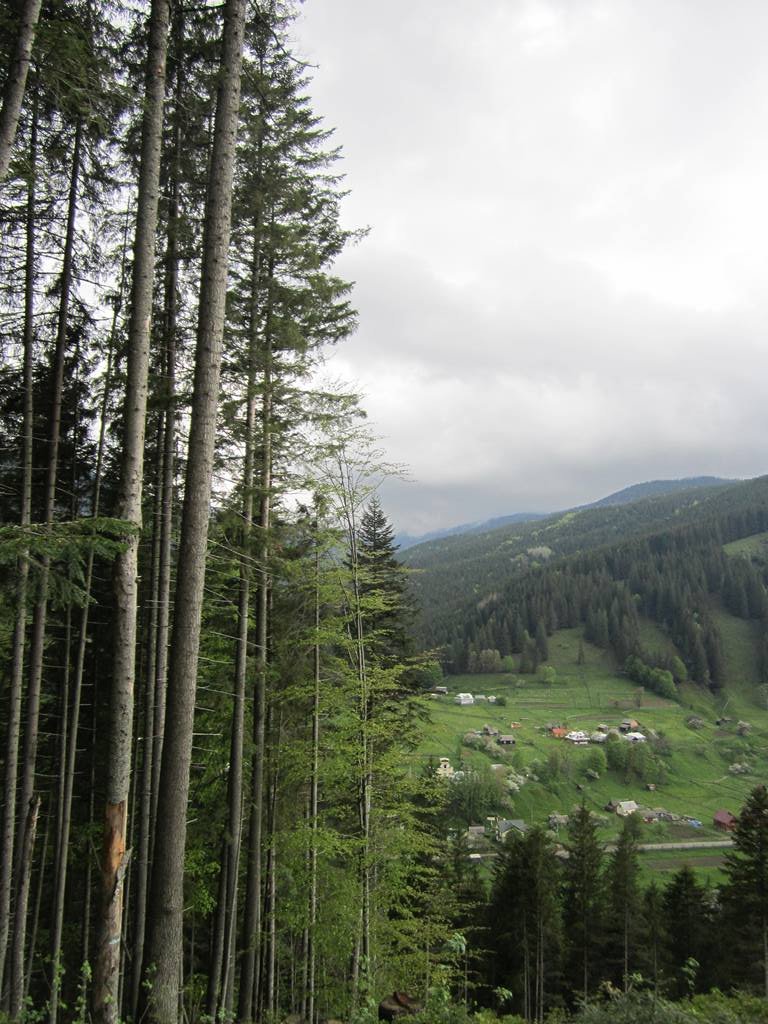 IMG_9697.JPG