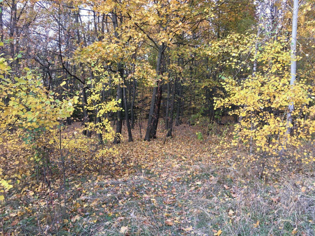 IMG_9709.JPG