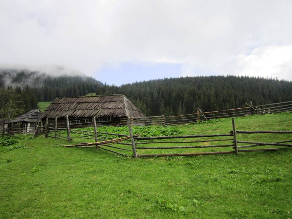 IMG_9745.JPG