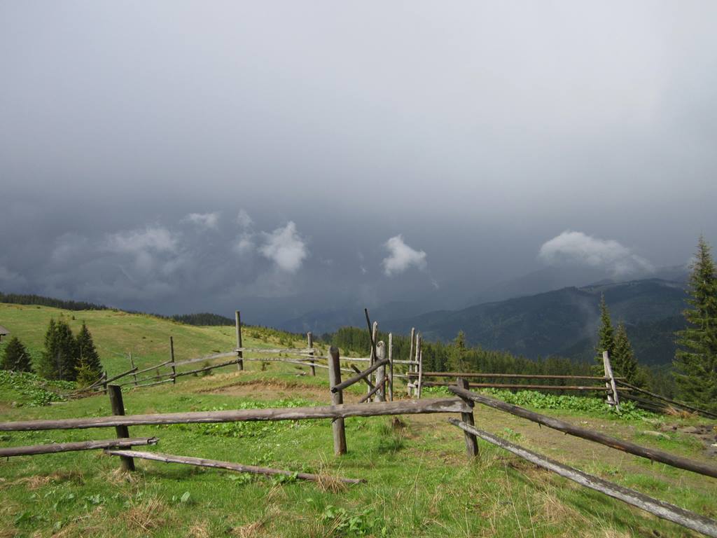IMG_9763.JPG