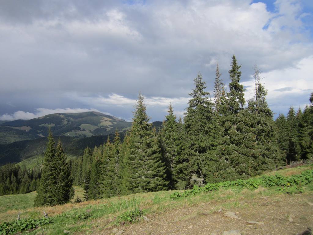 IMG_9790.JPG