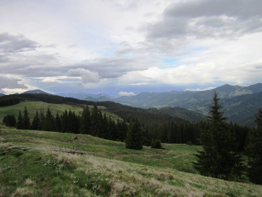 IMG_9816.JPG