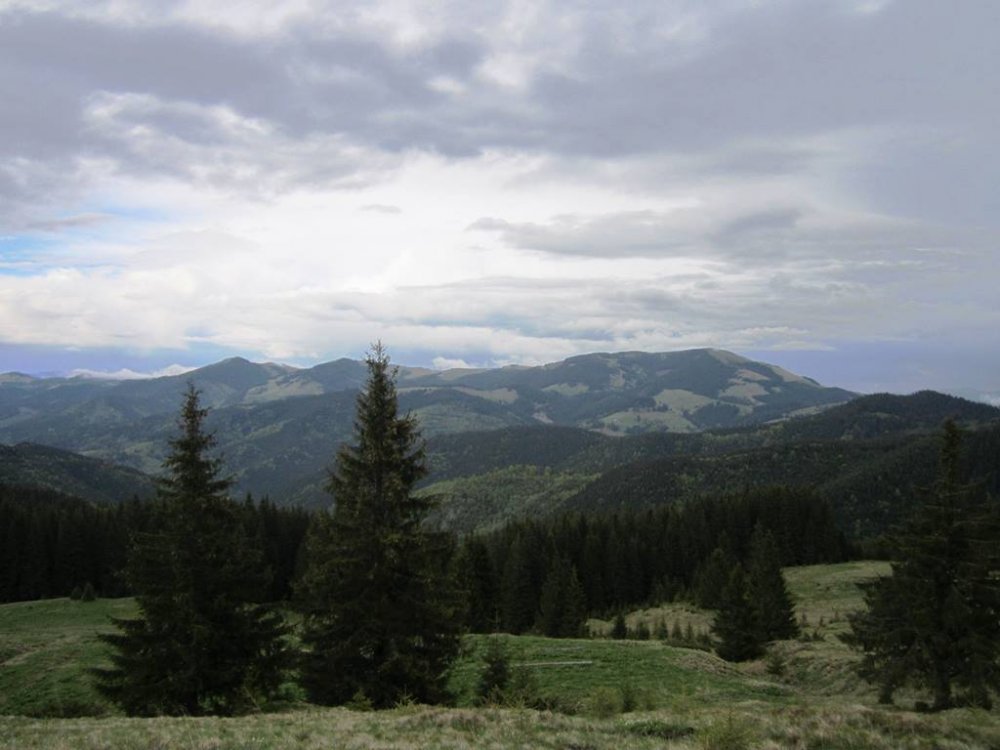 IMG_9817.JPG