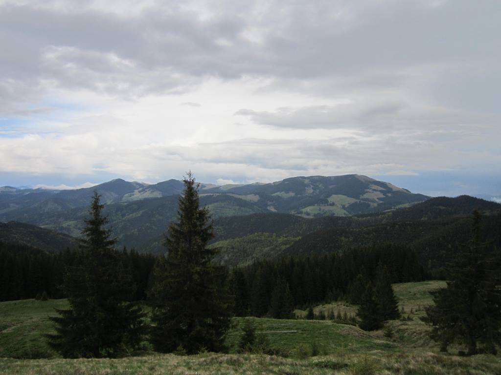 IMG_9817.JPG